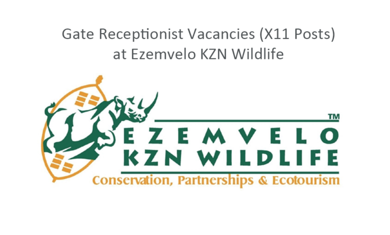 Receptionist Vacancies