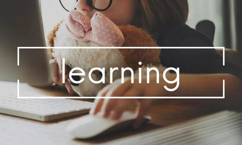 Apply for the Signa Academy Learnership 2024: A Career-Building Opportunity for Grade 10 and Higher