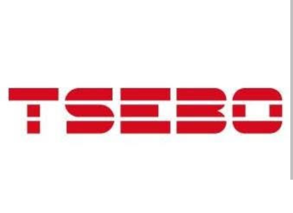 Tsebo Group Careers