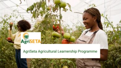 AgriSETA Learnership 2025: Your Gateway to a Career in Agriculture