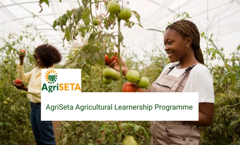 AgriSETA Learnership 2025: Your Gateway to a Career in Agriculture