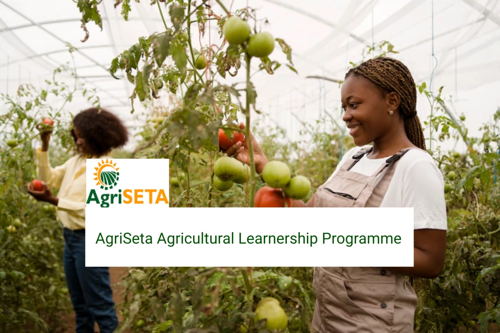 AgriSETA Learnership 2025: Your Gateway to a Career in Agriculture