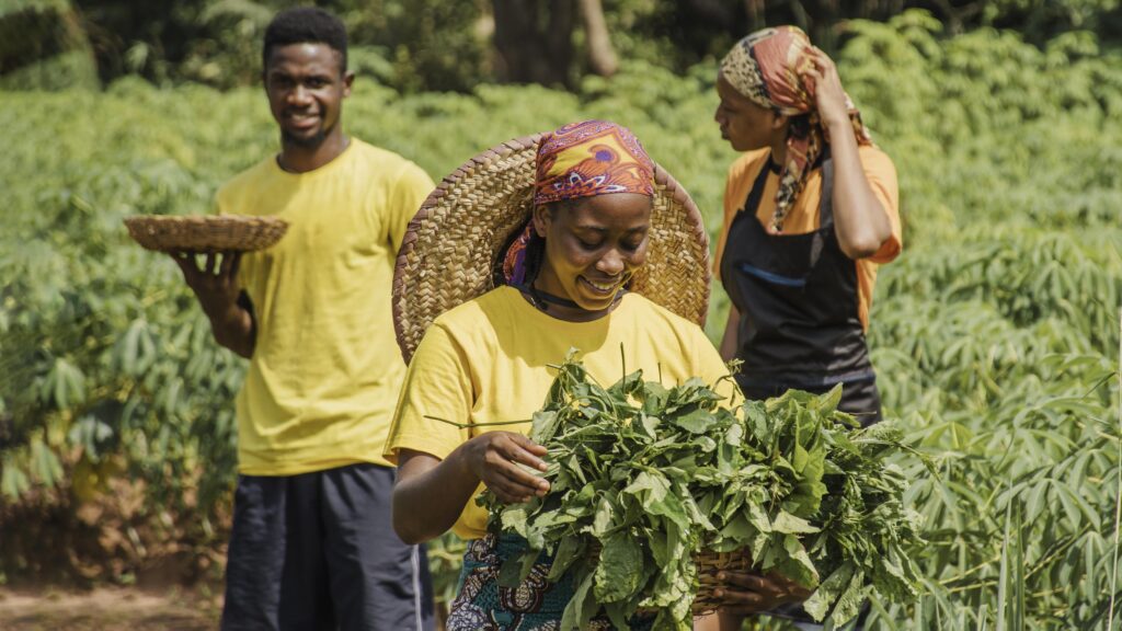 Western Cape Agriculture Matric Internship 2026