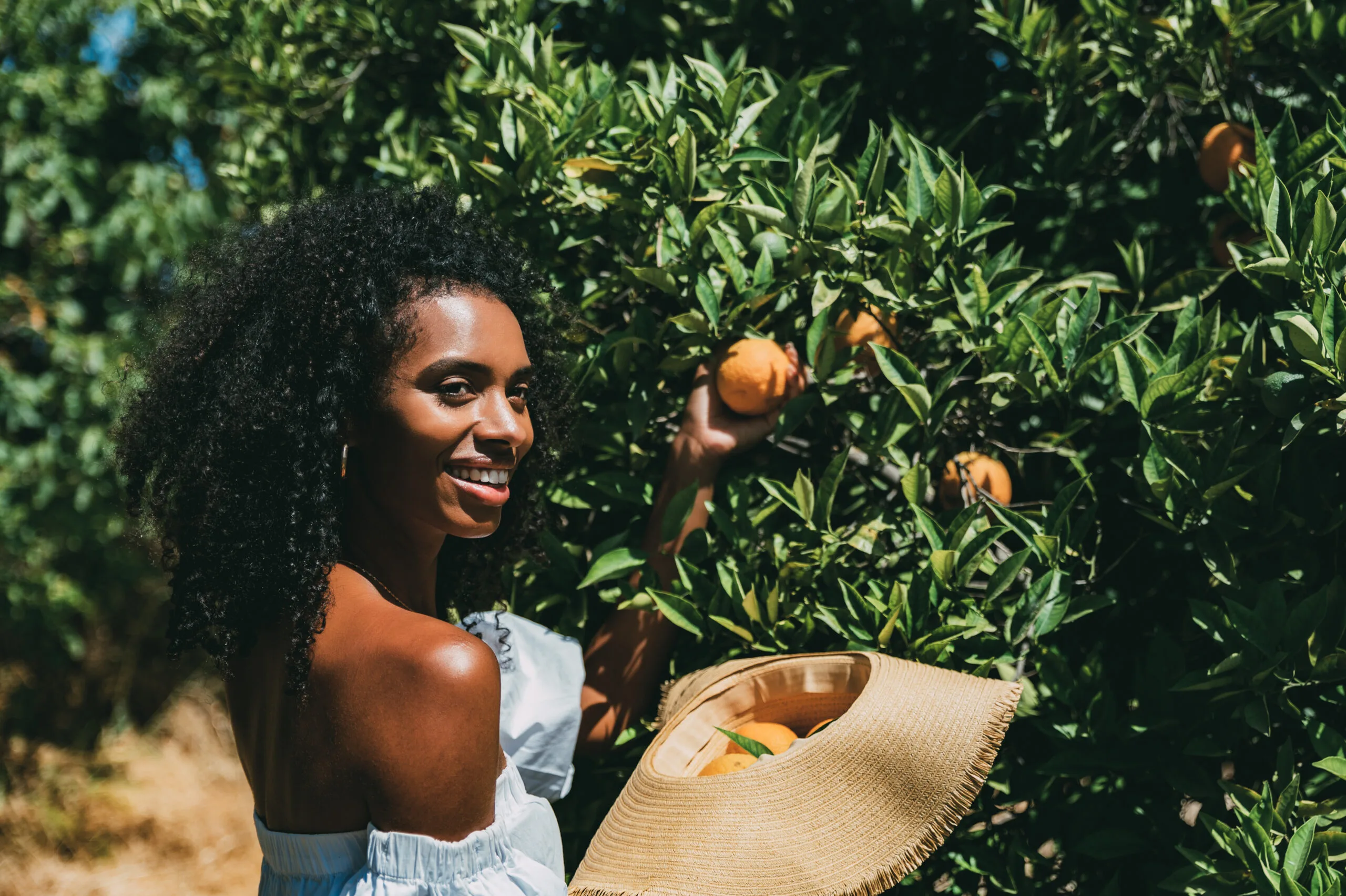 Westfalia Student Grand Bursary Fund 2026: Your Path to a Bright Future in Agriculture and Empowering Young People in South Africa**