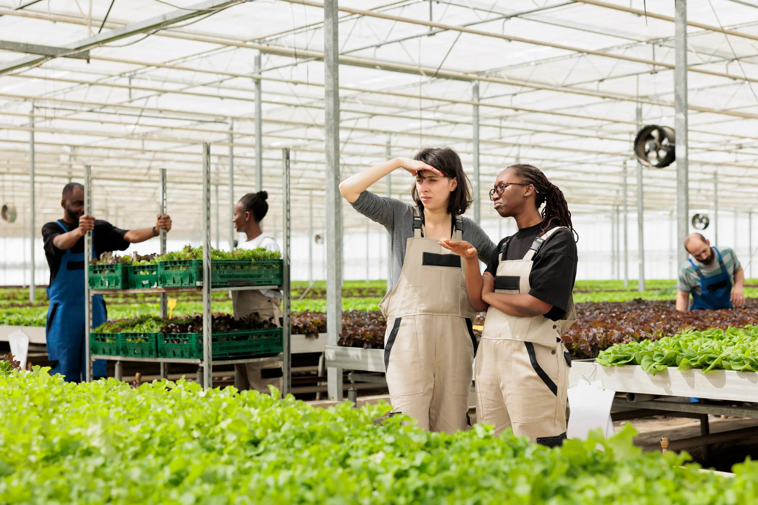Agricultural Graduate Program 2026!