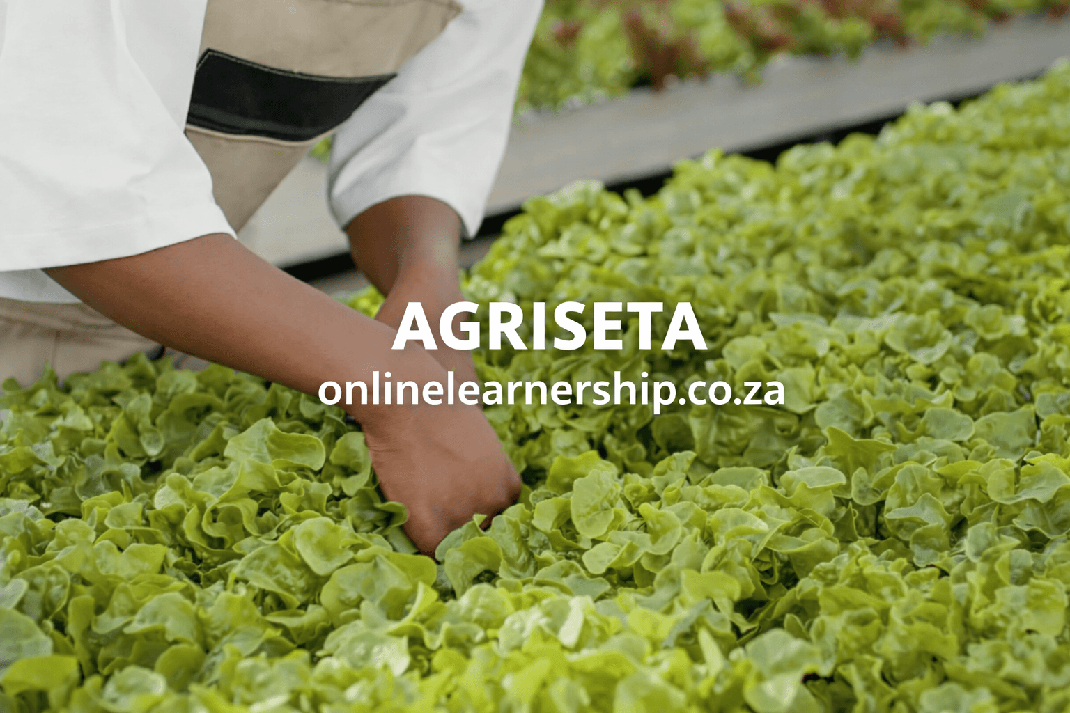 WIL AgriSETA Programme 2026