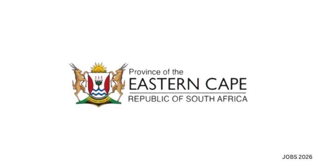 Eastern Cape Government Data Analyst Jobs