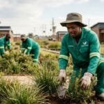Gardener jobs in Vereeniging